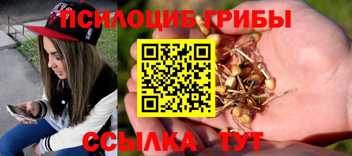 Киселёвск  Псилоцибиновые грибы Magic Shrooms  Вход с VPN 